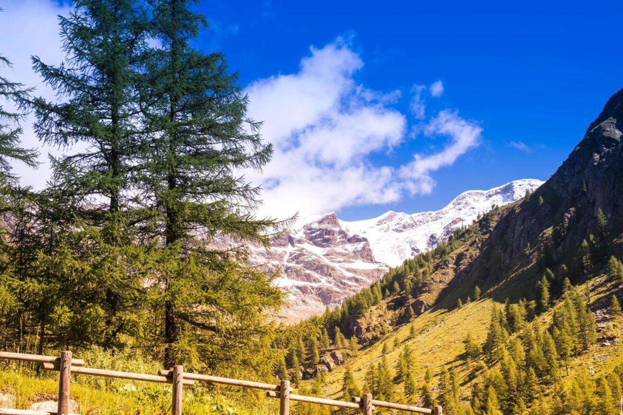 Alta Luce Mountain Lodge Грессоней-ла-Трините Экстерьер фото